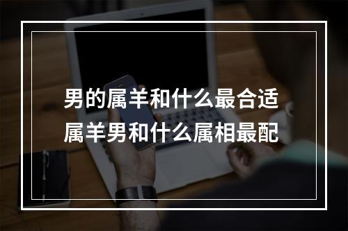 男的属羊和什么最合适 属羊男和什么属相最配