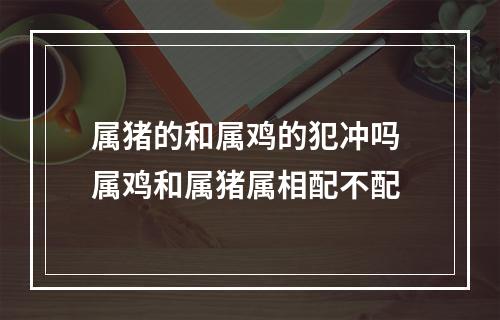 属猪的和属鸡的犯冲吗 属鸡和属猪属相配不配