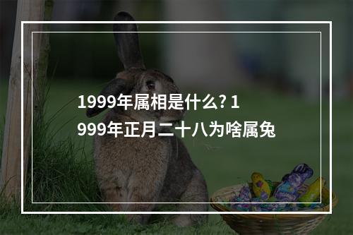 1999年属相是什么? 1999年正月二十八为啥属兔