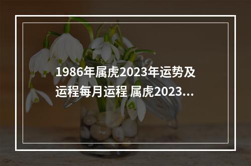 1986年属虎2023年运势及运程每月运程 属虎2023年每月运程开运随记