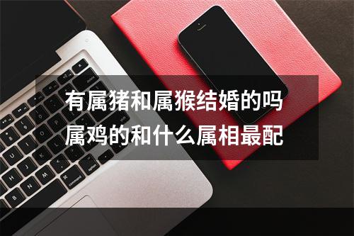 有属猪和属猴结婚的吗 属鸡的和什么属相最配