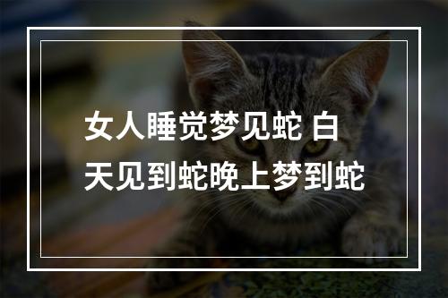 女人睡觉梦见蛇 白天见到蛇晚上梦到蛇