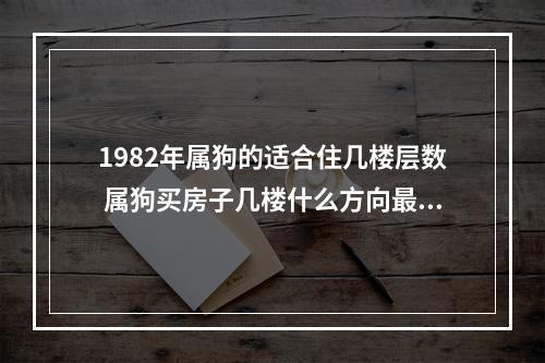 1982年属狗的适合住几楼层数 属狗买房子几楼什么方向最好