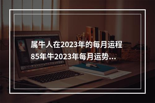 属牛人在2023年的每月运程 85年牛2023年每月运势如何详细?