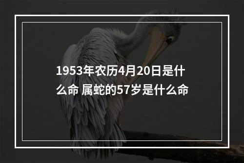 1953年农历4月20日是什么命 属蛇的57岁是什么命