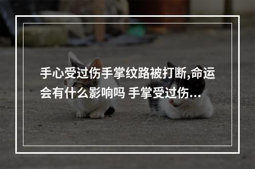 手心受过伤手掌纹路被打断,命运会有什么影响吗 手掌受过伤影响手相吗