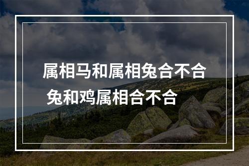 属相马和属相兔合不合 兔和鸡属相合不合