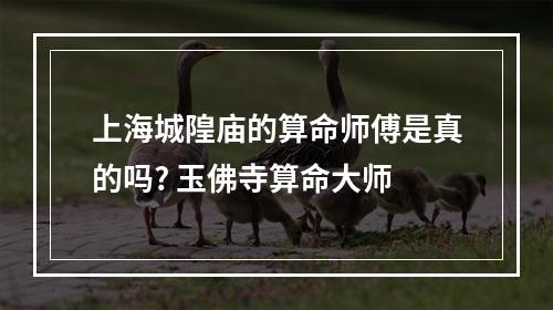 上海城隍庙的算命师傅是真的吗? 玉佛寺算命大师
