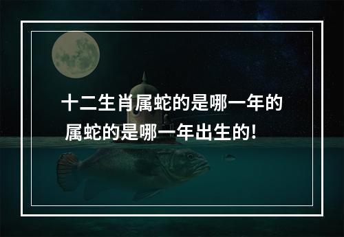 十二生肖属蛇的是哪一年的 属蛇的是哪一年出生的!