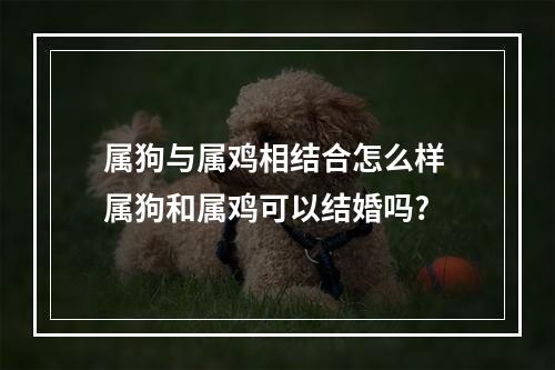 属狗与属鸡相结合怎么样 属狗和属鸡可以结婚吗?