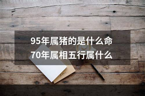 95年属猪的是什么命 70年属相五行属什么