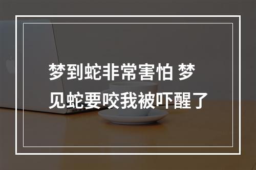 梦到蛇非常害怕 梦见蛇要咬我被吓醒了