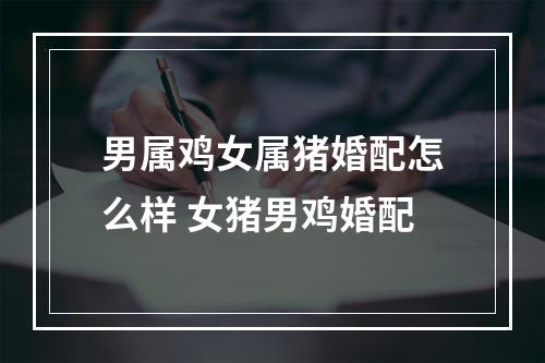 男属鸡女属猪婚配怎么样 女猪男鸡婚配