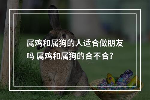 属鸡和属狗的人适合做朋友吗 属鸡和属狗的合不合?