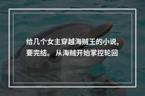 给几个女主穿越海贼王的小说,要完结。 从海贼开始掌控轮回