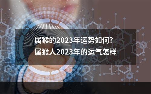 属猴的2023年运势如何? 属猴人2023年的运气怎样