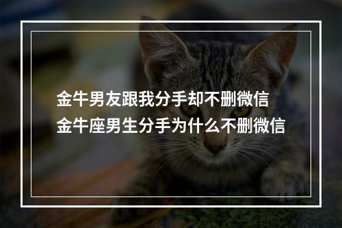 金牛男友跟我分手却不删微信 金牛座男生分手为什么不删微信