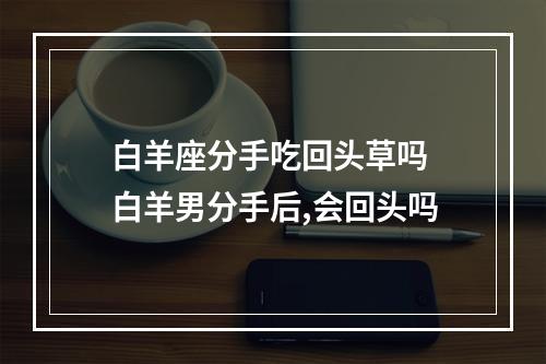 白羊座分手吃回头草吗 白羊男分手后,会回头吗