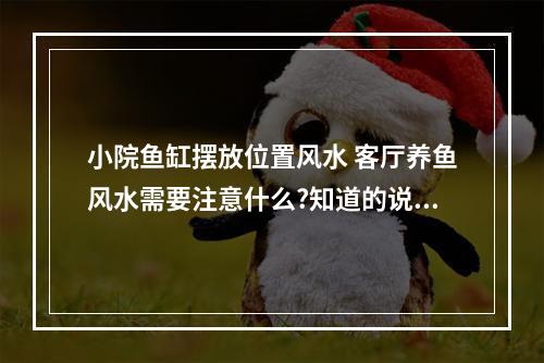 小院鱼缸摆放位置风水 客厅养鱼风水需要注意什么?知道的说下!