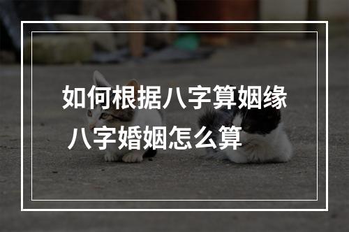 如何根据八字算姻缘 八字婚姻怎么算