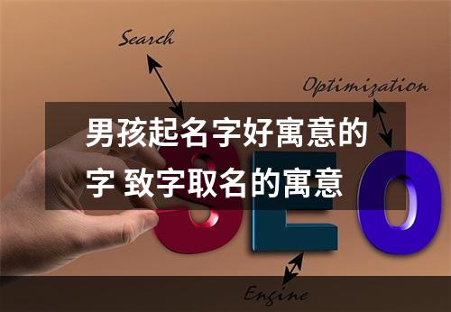 男孩起名字好寓意的字 致字取名的寓意