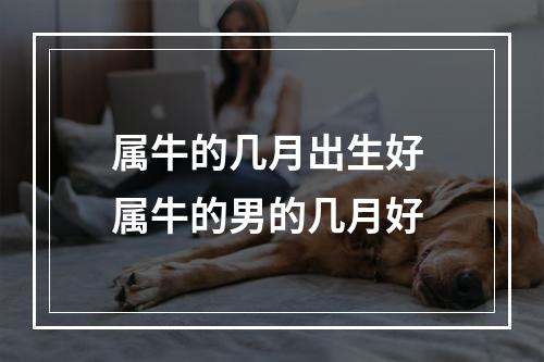 属牛的几月出生好 属牛的男的几月好
