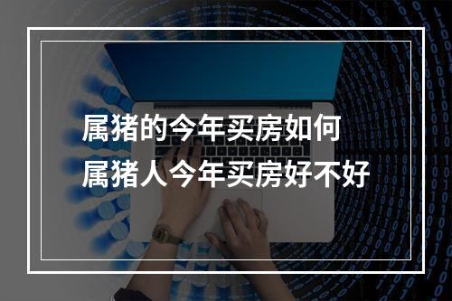 属猪的今年买房如何 属猪人今年买房好不好
