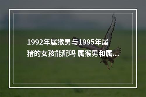 1992年属猴男与1995年属猪的女孩能配吗 属猴男和属猪女结婚好不好