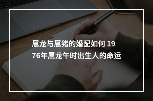 属龙与属猪的婚配如何 1976年属龙午时出生人的命运