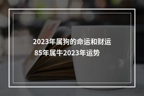 2023年属狗的命运和财运 85年属牛2023年运势