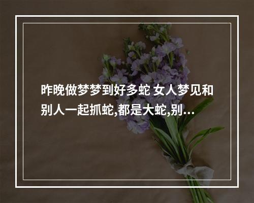 昨晚做梦梦到好多蛇 女人梦见和别人一起抓蛇,都是大蛇,别人抓我拿袋子。共4-5条。回来放...