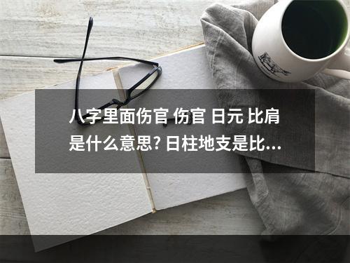 八字里面伤官 伤官 日元 比肩是什么意思? 日柱地支是比肩