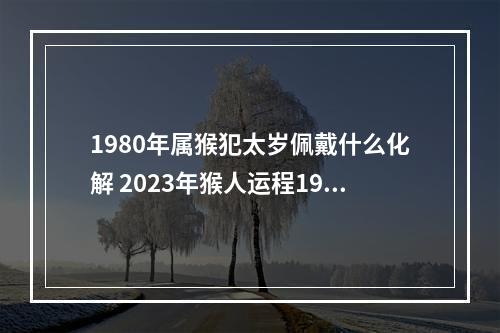 1980年属猴犯太岁佩戴什么化解 2023年猴人运程1980年