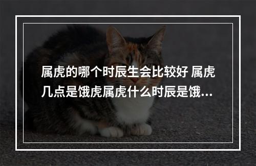 属虎的哪个时辰生会比较好 属虎几点是饿虎属虎什么时辰是饿虎