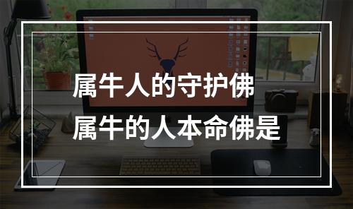属牛人的守护佛 属牛的人本命佛是