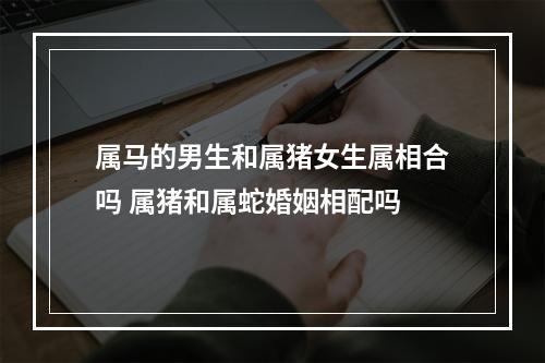 属马的男生和属猪女生属相合吗 属猪和属蛇婚姻相配吗