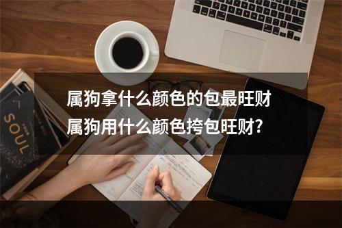 属狗拿什么颜色的包最旺财 属狗用什么颜色挎包旺财?