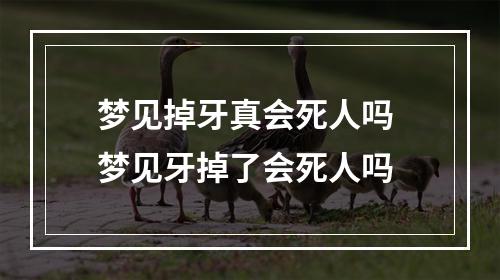 梦见掉牙真会死人吗 梦见牙掉了会死人吗