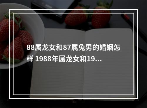 88属龙女和87属兔男的婚姻怎样 1988年属龙女和1987年属兔男,相配吗?