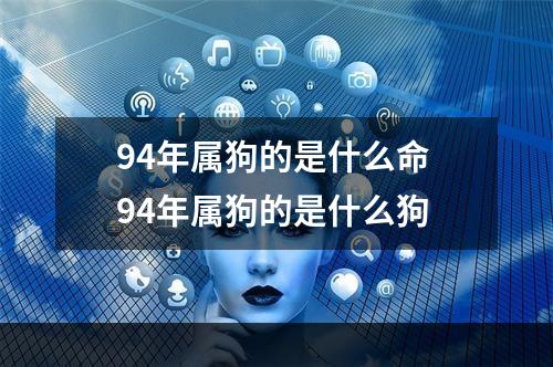 94年属狗的是什么命 94年属狗的是什么狗