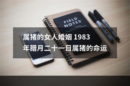 属猪的女人婚姻 1983年腊月二十一日属猪的命运