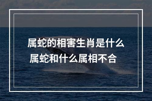 属蛇的相害生肖是什么 属蛇和什么属相不合