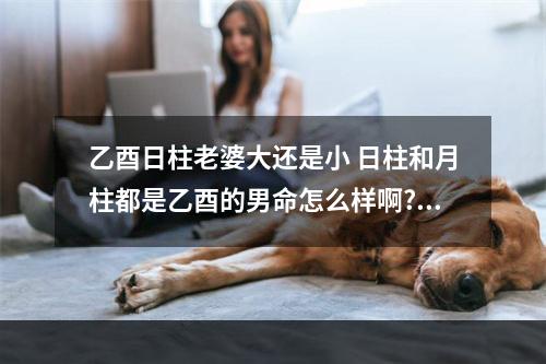 乙酉日柱老婆大还是小 日柱和月柱都是乙酉的男命怎么样啊? 我看说日支和月支的一样对方漂亮...