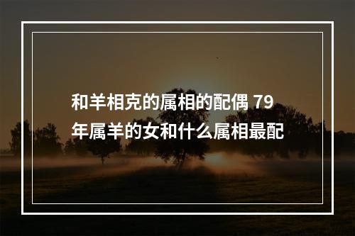 和羊相克的属相的配偶 79年属羊的女和什么属相最配