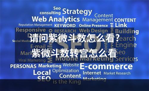 请问紫微斗数怎么看? 紫微斗数转宫怎么看