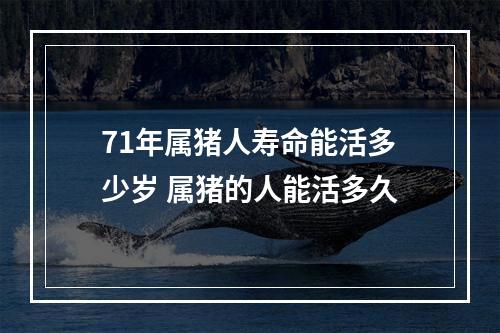 71年属猪人寿命能活多少岁 属猪的人能活多久