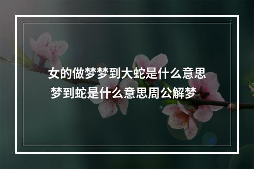 女的做梦梦到大蛇是什么意思 梦到蛇是什么意思周公解梦
