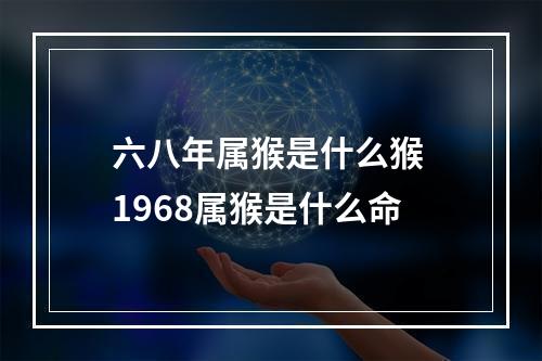 六八年属猴是什么猴 1968属猴是什么命