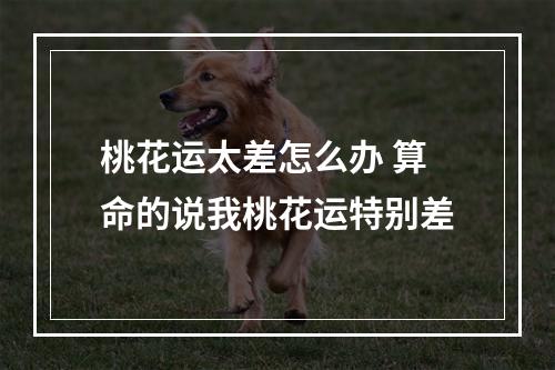 桃花运太差怎么办 算命的说我桃花运特别差