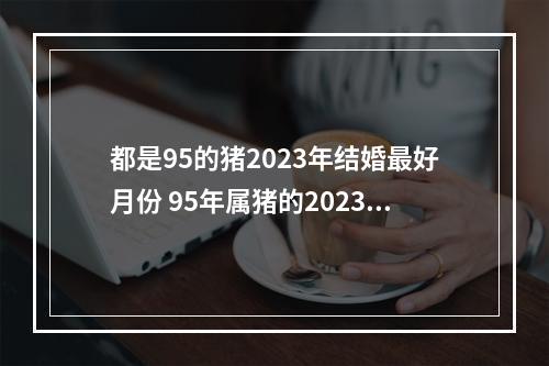 都是95的猪2023年结婚最好月份 95年属猪的2023年结婚那天好